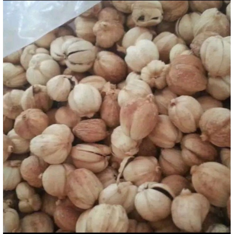 

kapulaga/buah kapol/kapol jawa