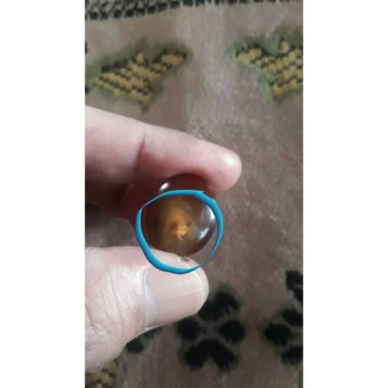 Batu Akik Pamor Penampakan Sangat Langka asli