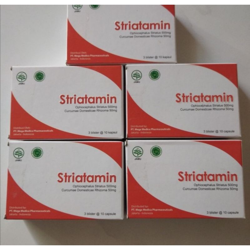 Kapsul kutuk Striatamin suplemen 30 kapsul ekstra ikan gabus tinggi protein