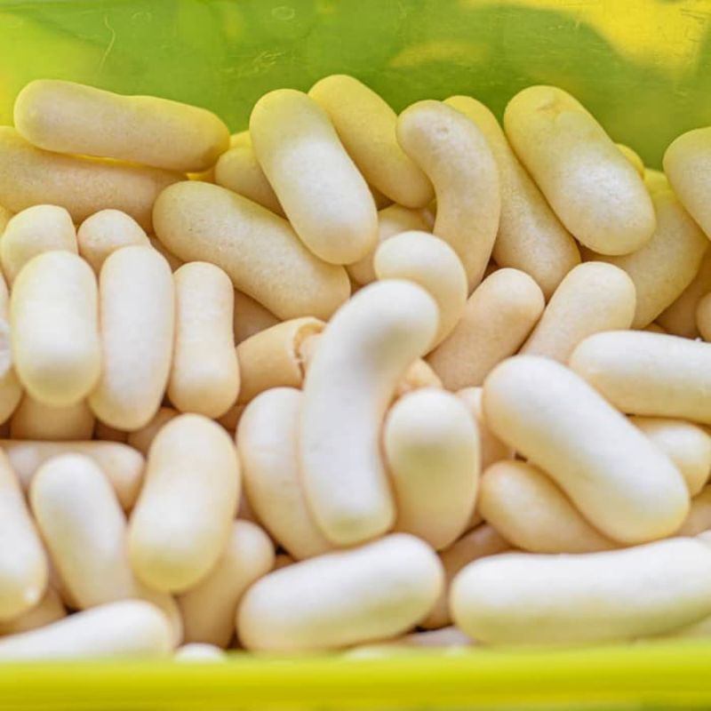 

Pilus Ikan 250 Gr