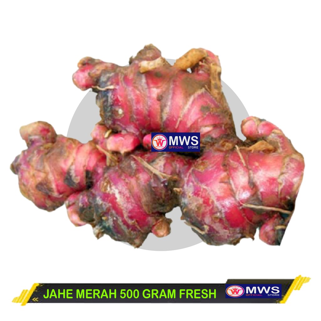 

JAHE MERAH 500 GRAM FRESH MWS OFFICIAL STORE