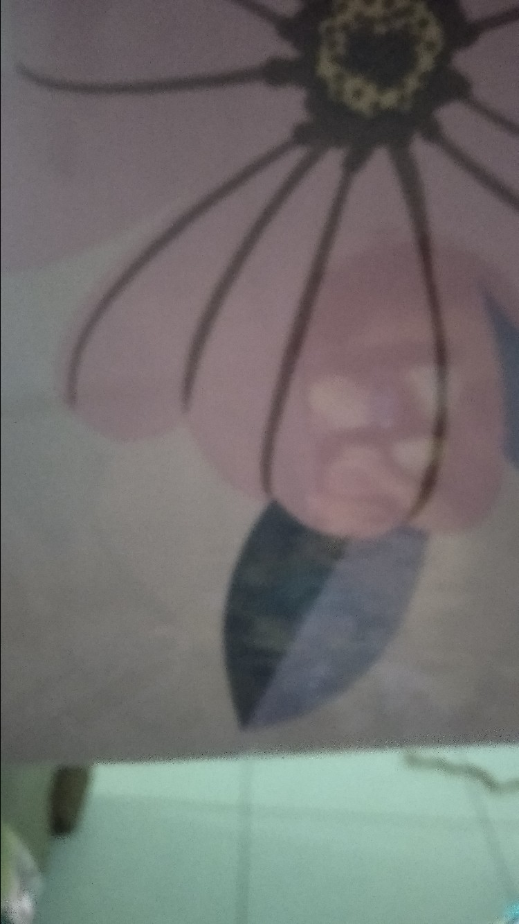 Sprei Single Fata Signature Freya, Juliette, Milk Moo, Pineapple, Billabong - Variasi