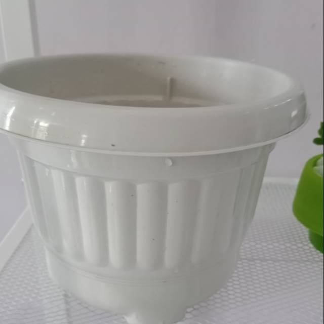  Pot  bunga  putih besar  33 cm Shopee  Indonesia