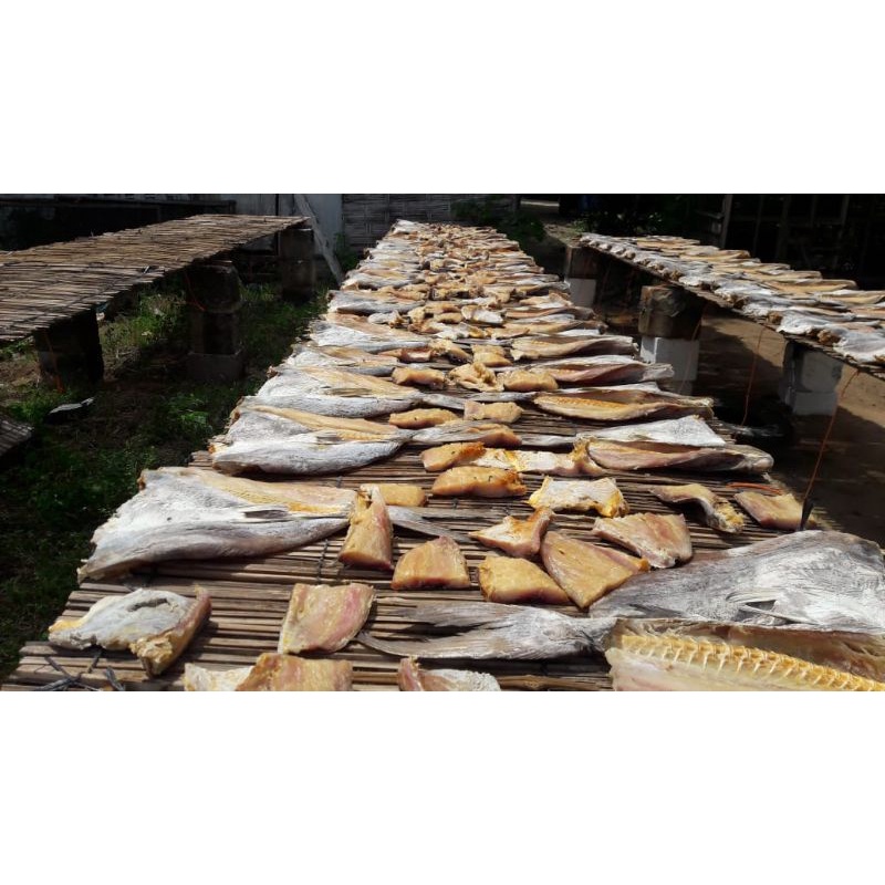 

IKAN ASIN JAMBAL ROTI / MANYUNG 500gr new