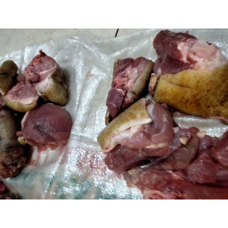 

Daging Celeng Berkulit + lemak +tulang