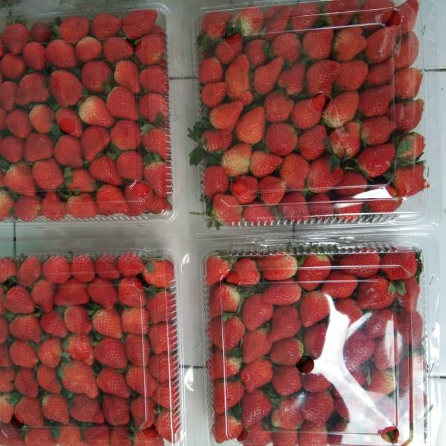 

Strawberry frozen 1 kg