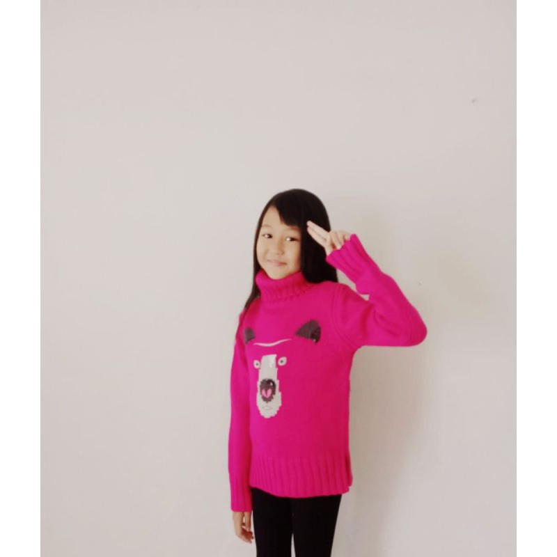 Kids Sweater Turtleneck Delani.project