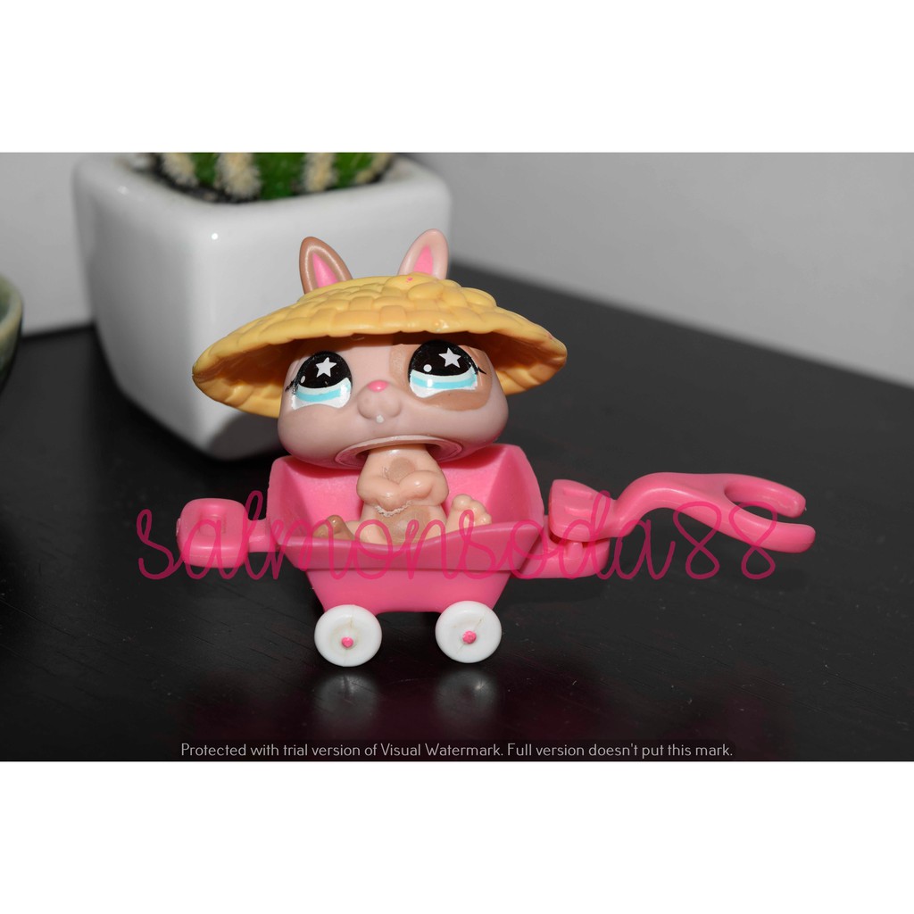 littlest pet shop 827