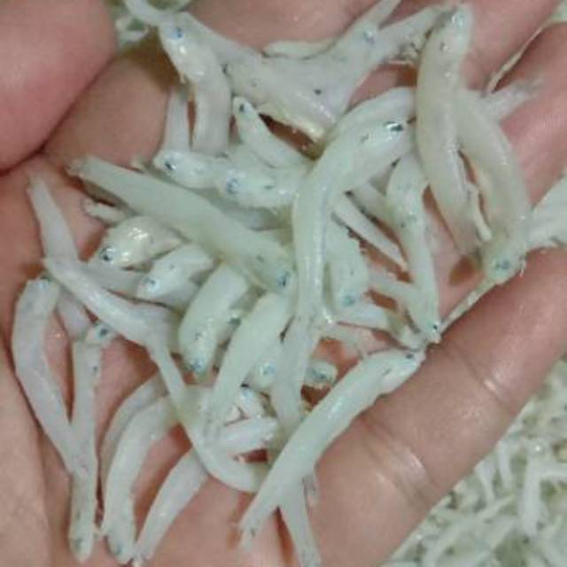 

TERI NASI TOGE TULEN 250 GR