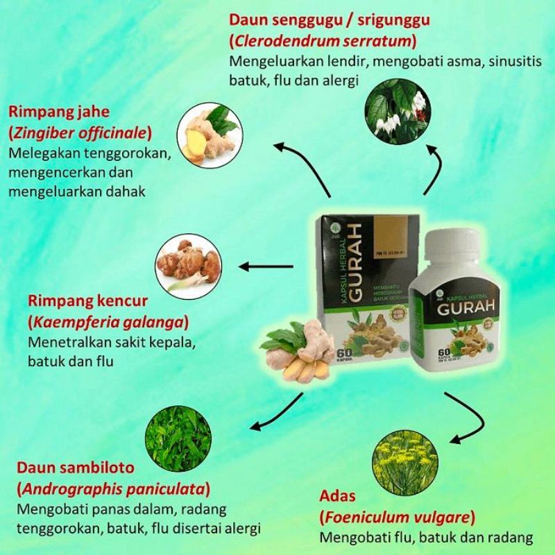 TRIPLEA - Kapsul Gurah Obat Sakit Tenggorokan Obat Batuk Berdahak Meluruhkan Dahak Obat Sesak Nafas Napas Paru paru Obat ASMA TBC Bronkitis Herbal-5