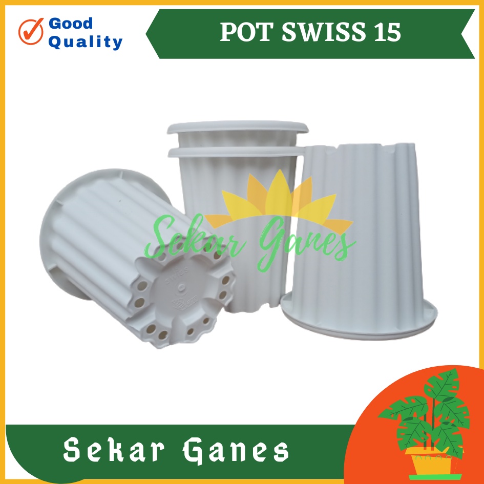 Pot Swiss 15 Putih Pot Yogap 10 13 15 Putih Coklat Merah Bata Bening Transparan Pot Yogap 17 18 19 Pot Yogap Murah Pot Bunga Tinggi Pirus Tegak Bagus Tebal