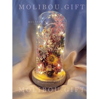 Glass dome full bunga kering dengan lampu led lampu tidur Glass dome full bunga kering dengan lampu led lampu tidur