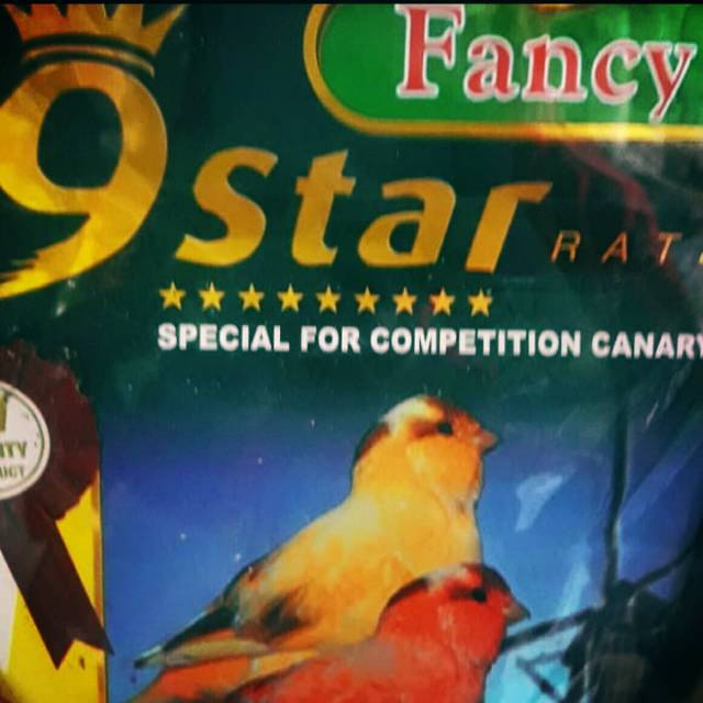 Fancy 9 star canary