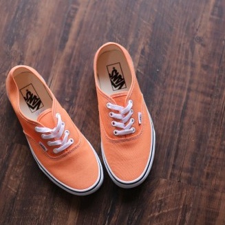 Vans Authentic Cadium True White Original