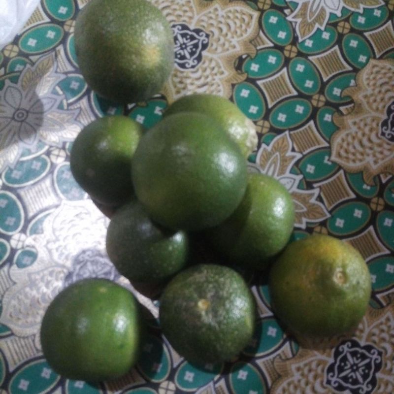 

pesanan jeruk mas catur