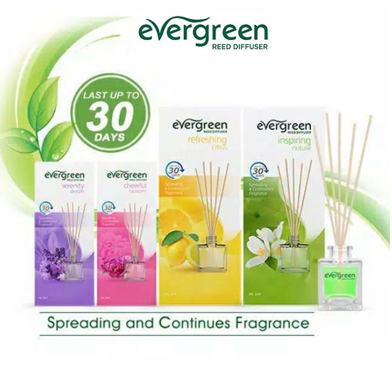 Evergreen Reed Diffuser - Pengharum Ruangan (Refill/Set)