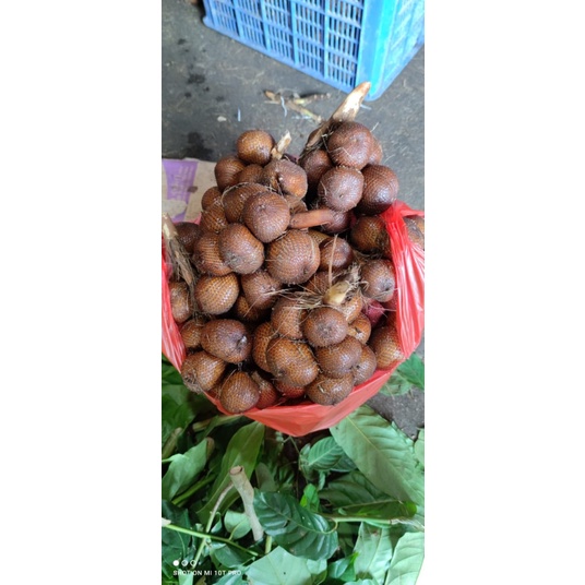 

salak bali karangasem bali 1kg