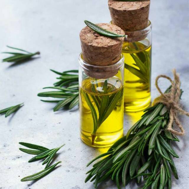 

Minyak Rosemary / Rosemary Oik