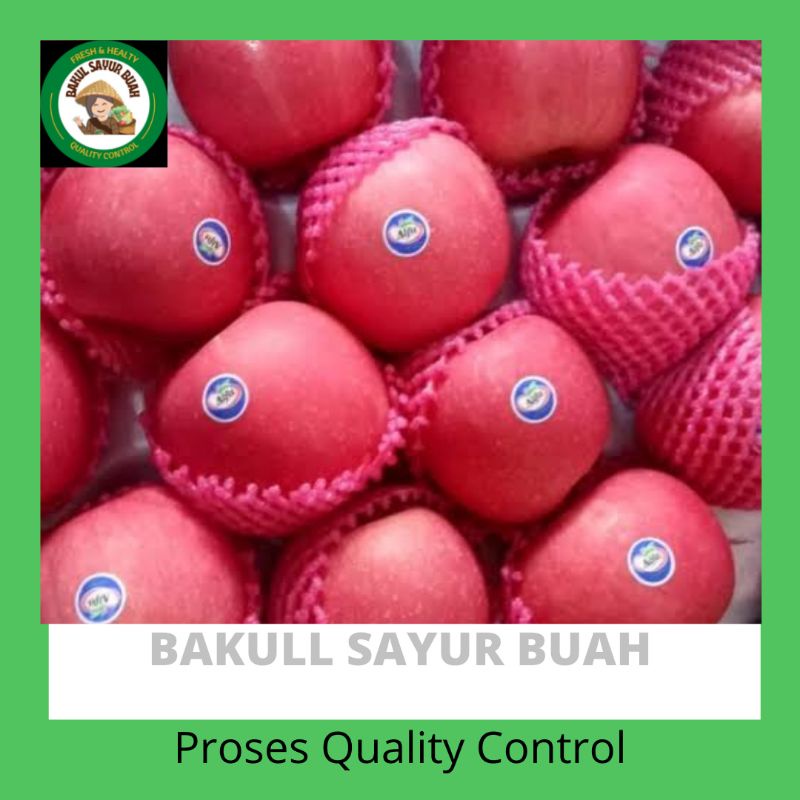 BUAH APEL ALFA FRESH PER 1KG