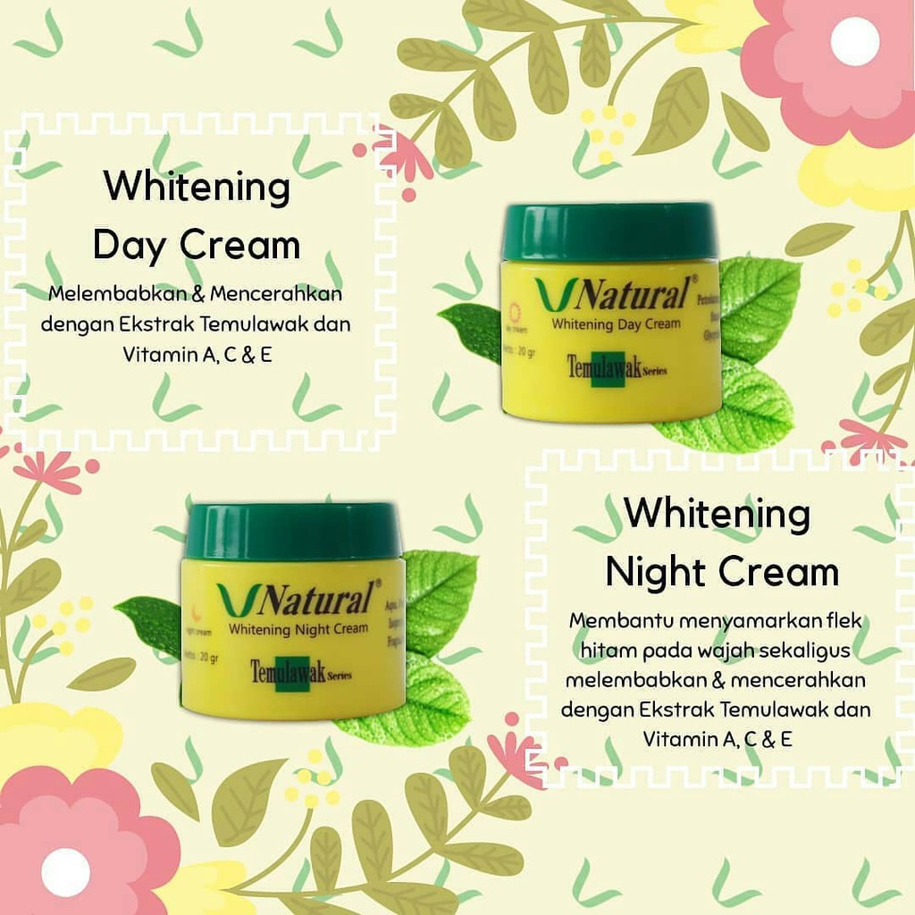 Cream Siang Temulawak V Natural Cream Temulawak Original Bpom Cream Pemutih Wajah Day Cream Shopee Indonesia