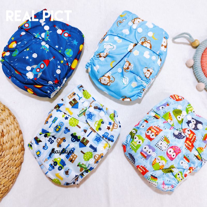BIZYBEE Cloth Diaper Clodi Popok kain bayi dilengkapi 2 insert