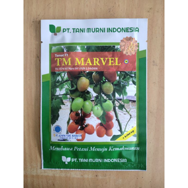 benih tomat TM marvel