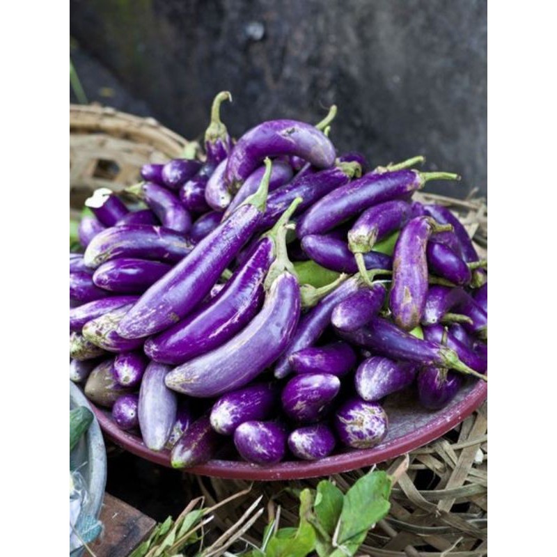 

terong ungu 200gr / sayur segar bogor