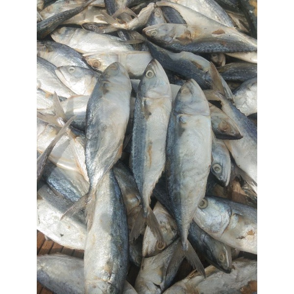 

ikan asin peda putih