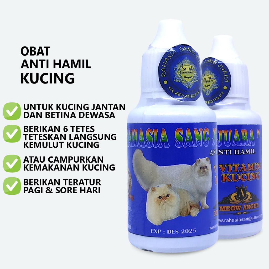 OBAT ANTI HAMIL KUCING MENCEGAH KEHAMILAN DAN PROSES OVULASI PADA KUCING