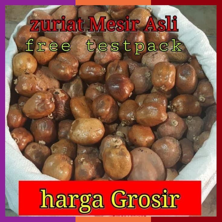 

Buah Zuriat 1Kg Zuryat Promil Harga Import Mesir