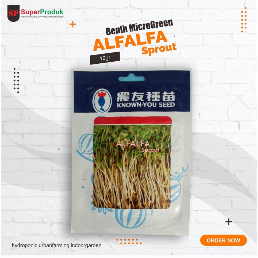 Benih Microgreen Alfalfa Known You Seed - Benih hidroponik