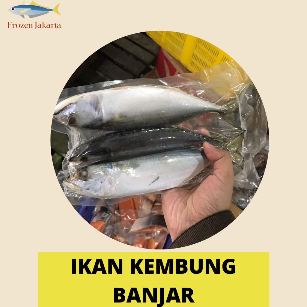 

IKAN KEMBUNG BANJAR UTUH FRESH FROZEN JAKARTA UTARA