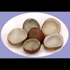 

SMT DRY COCOUNUT WHOLE 1PCS (ISI 2)