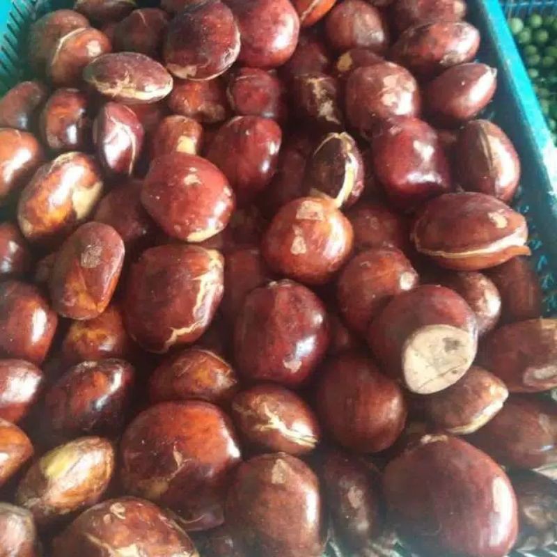 

Jengkol tua isi 250gram