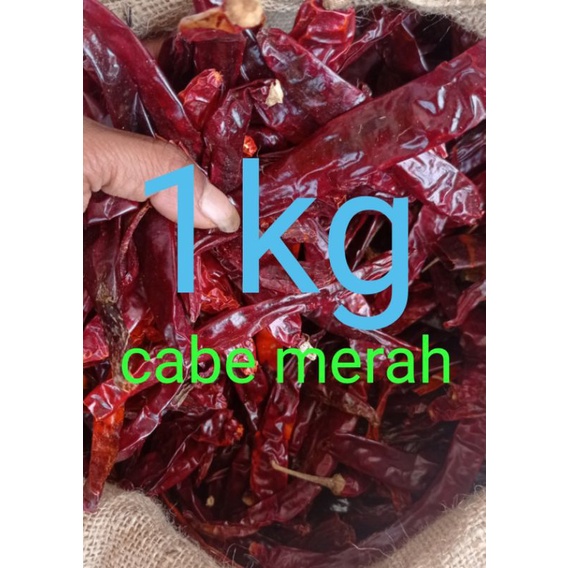 

1kg CABE MERAH BESAR INFOR TANPA TANGKAI