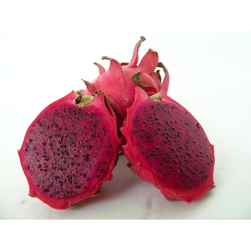

FRESH NAGA MERAH / RED DRAGON FRUIT