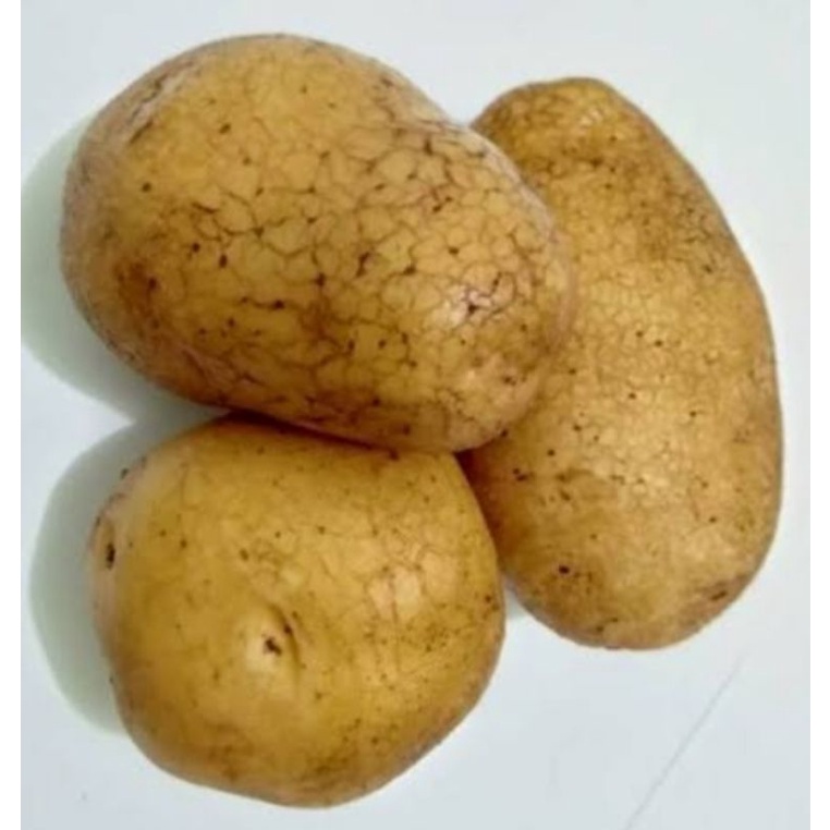 

Kentang