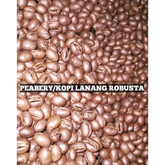 

kopi Roasbean robusta