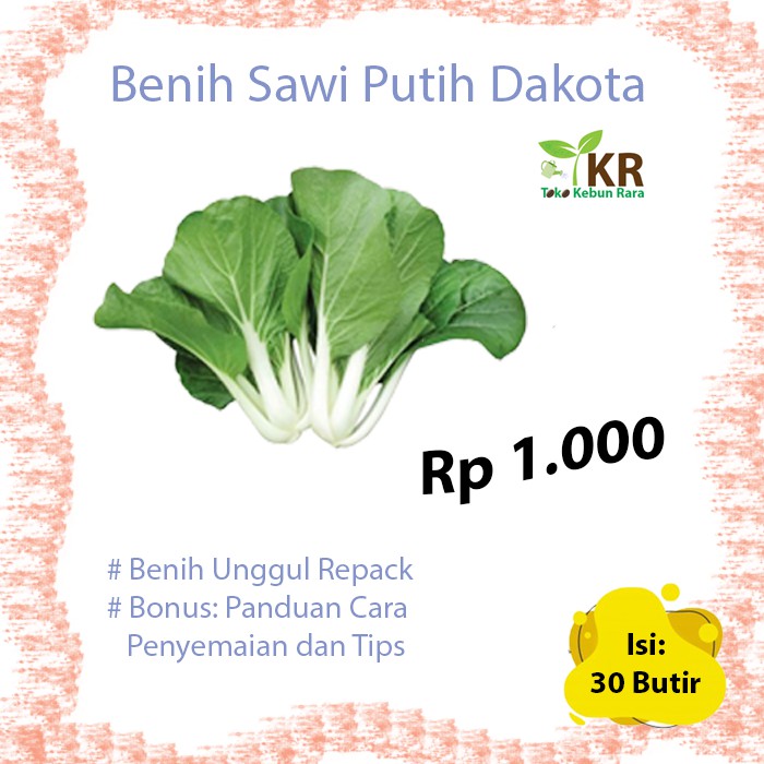 Benih Bibit Unggul Sawi Putih Dakota Repack