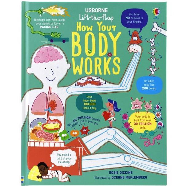 Diskon Usborne How Your Body Works Buku Board Book (Promo Hari Ini)