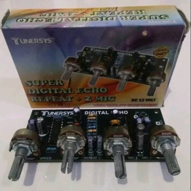 Echo Repeat 2 Mic