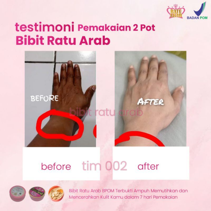 BIBIT RATU ARAB ORIGINAL 250gr 100%