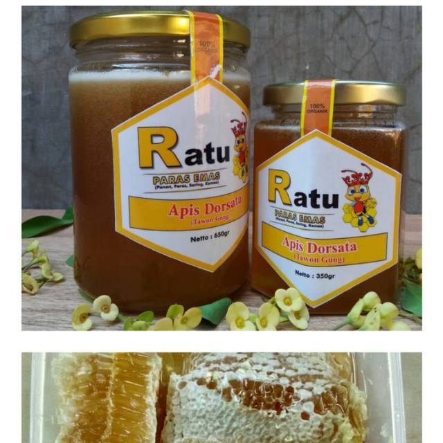 

Madu ratu apis dorsata