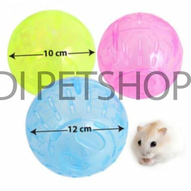 Harga Hamster Hewan Terbaik Perawatan Hewan Hobi Koleksi
