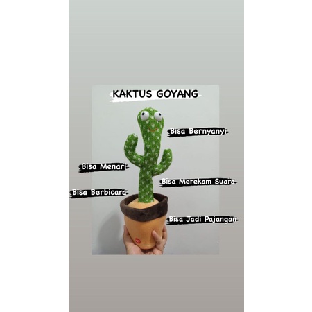 KAKTUS GOYANG TALKING KAKTUS CACTUS BICARA