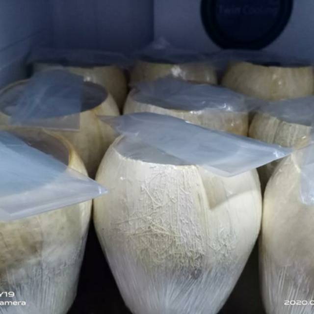 

Puding kelapa muda batok