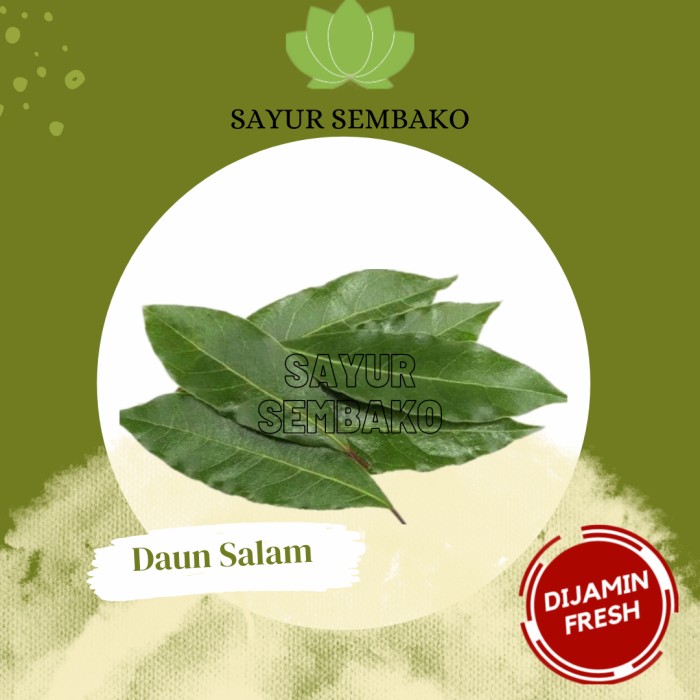 

Daun salam Segar