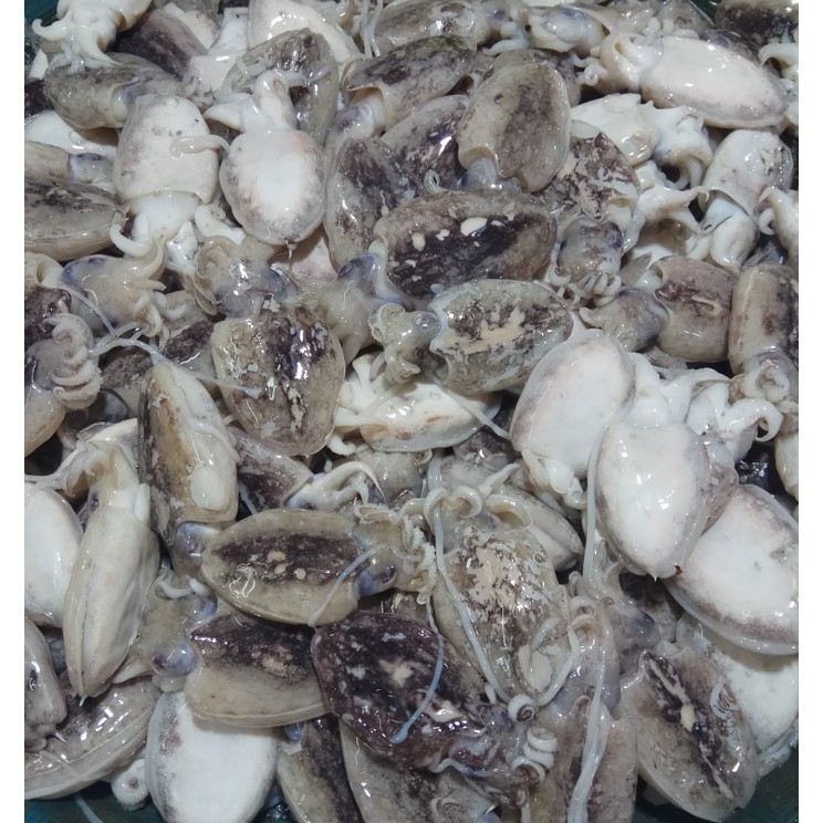 

BALAKUTAK 1 kg // BLEKUTAK 1000 gr // BLAKUTAK 1000gr / 1kg