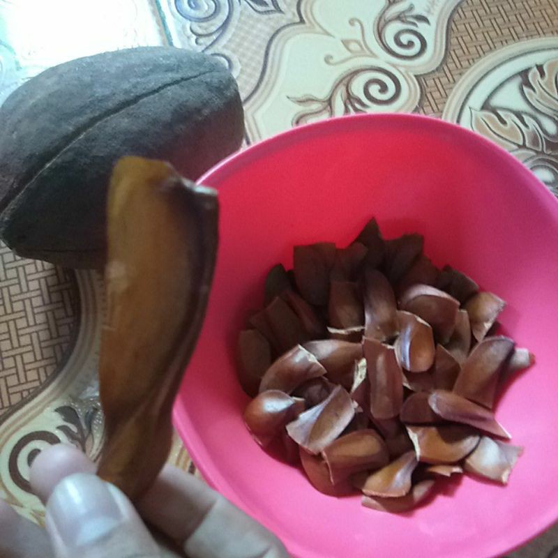 

biji mahoni si pahit berkhasiat