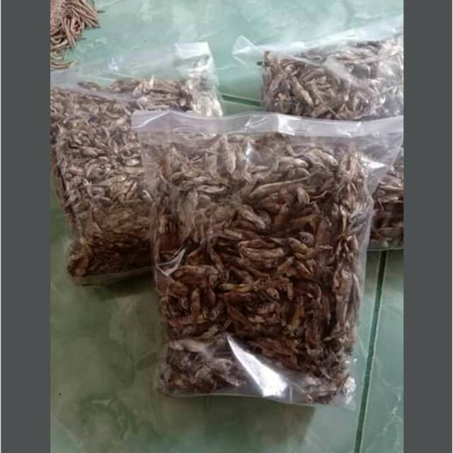 

Baby fish ikan kering